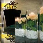 Hotel Rhodopi 4*