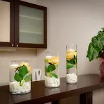 Hotel Rhodopi Tschepelare