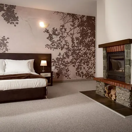 Hotel Rhodopi 4*