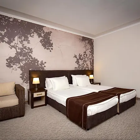 Hotel Rhodopi Chepelare